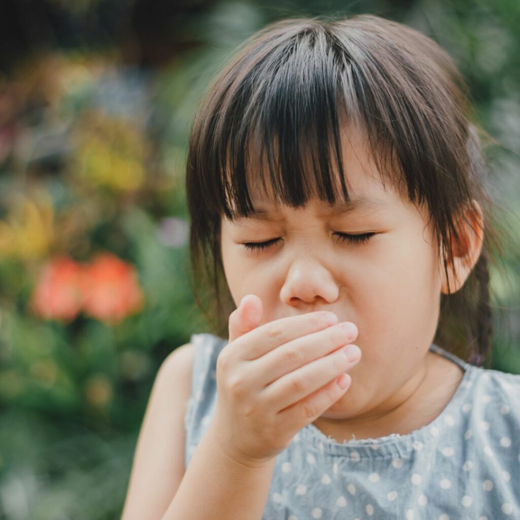 Sorotan Pada Hidung – Petua Untuk Penampilan Semulajadi